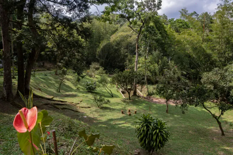 Colombia Yoga Teacher Training