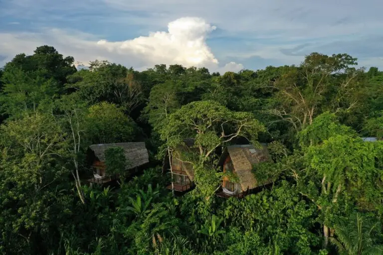 Amazonas Yoga and Wellness Retreat