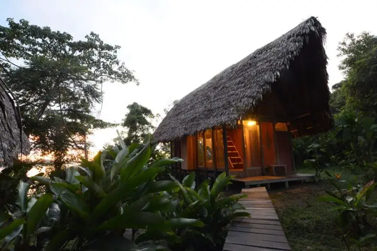 Amazonas Yoga and Wellness Retreat