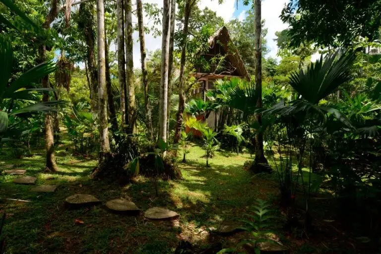 Amazonas Yoga and Wellness Retreat