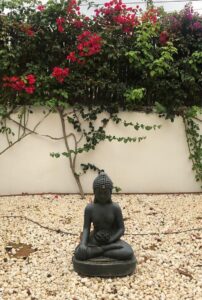 Spain Silent Retreat – meditation garden with Buddha statue